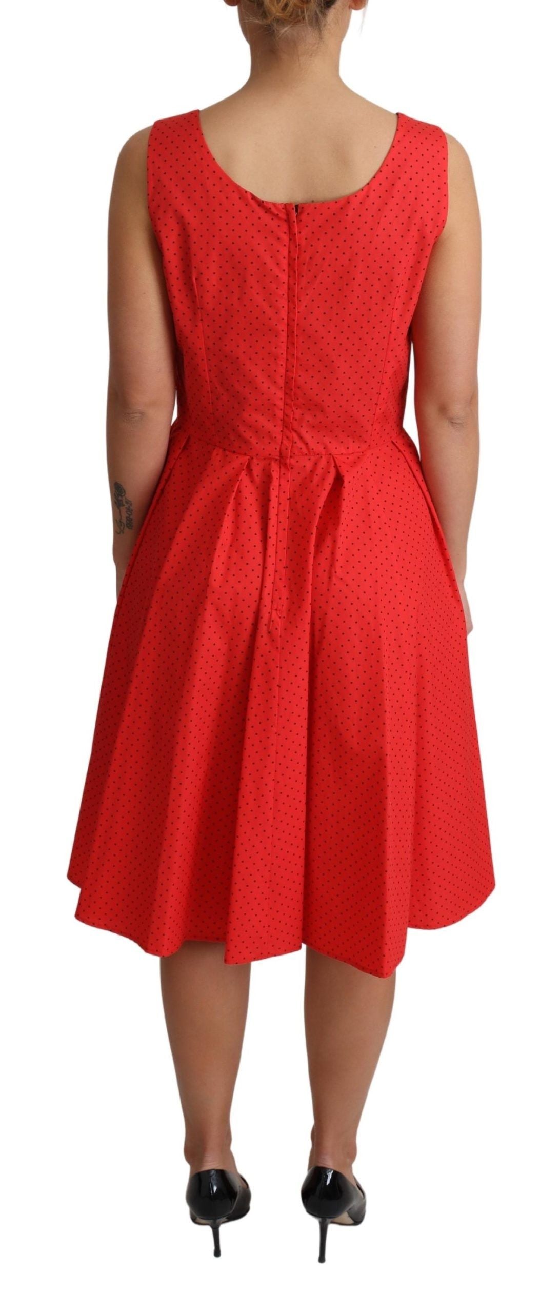 Elegant Polka Dotted A-Line Sleeveless Dress