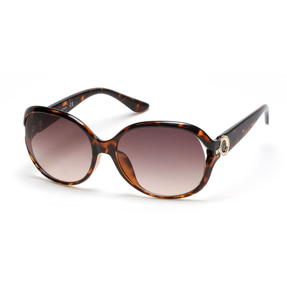 Brown Resin Sunglasses