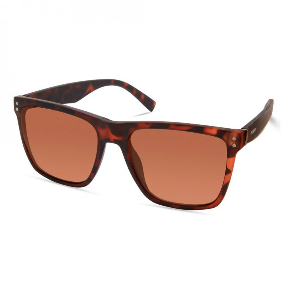 Brown Resin Sunglasses