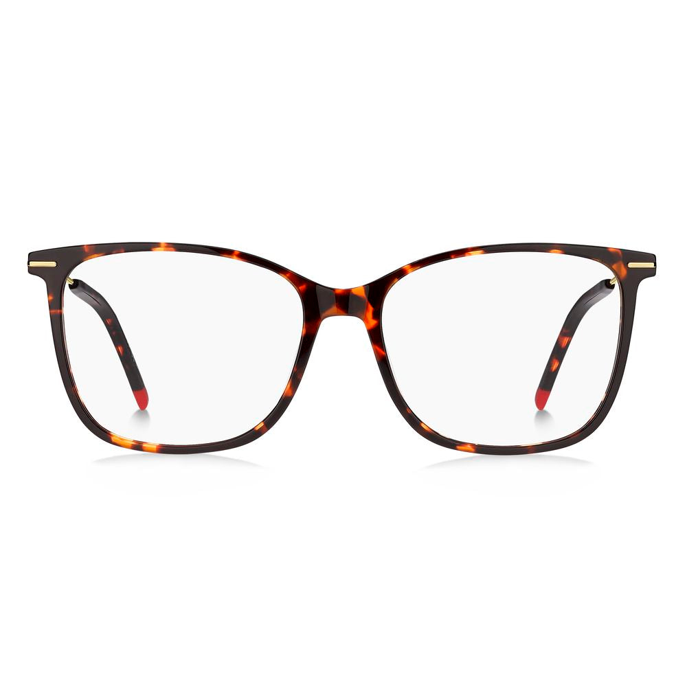 Bicolor Light Acetate Frames