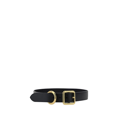 La Ceinture Regalo Belt