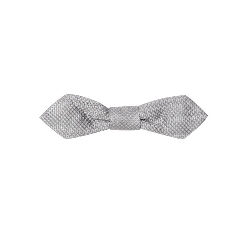 Silver Silk Ties & Bowty