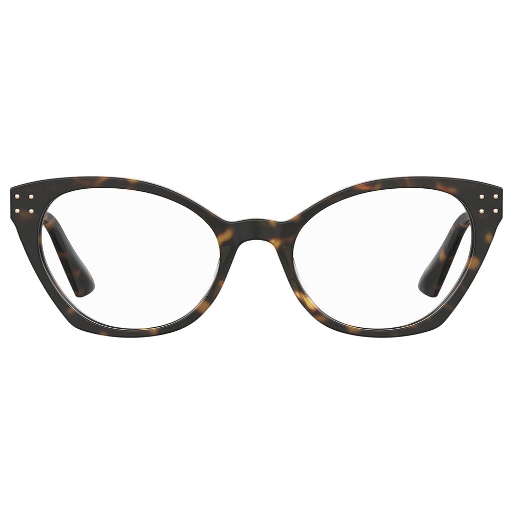 Bicolor Acetate Frames