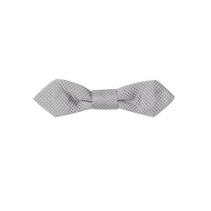 Gray Silk Bowty