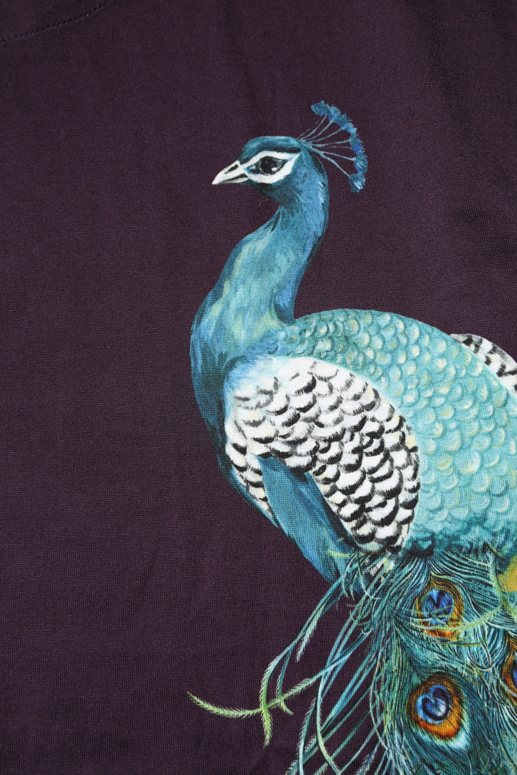 Black Cotton Peacock Print Round Neck T-shirt