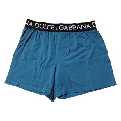 Blue Logo Waist Regular Boxer Shorts Underwear