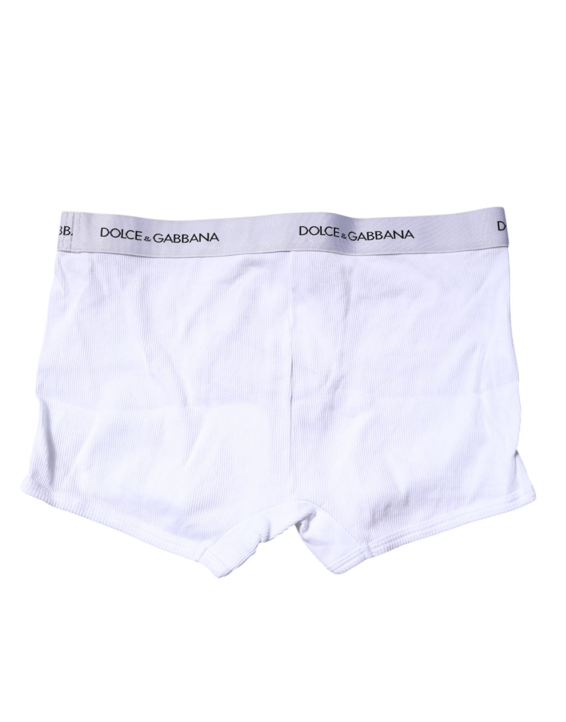 White Logo Waist Regular Boxer Brief Underwear
