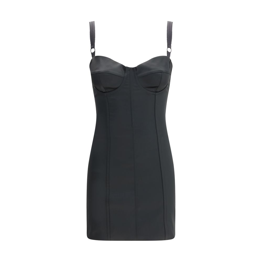 Fitted bodice Dress