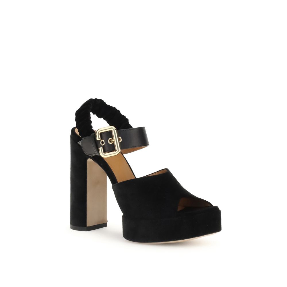 Aria Pumps
